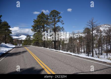 Flagstaff, Arizona. ÉTATS-UNIS 3/20/2024. Monument national du volcan Sunset Crater. Ce cône de cendre de 1 120 pieds de haut est entré en éruption autour de AD 1085 laissant de la lave Banque D'Images