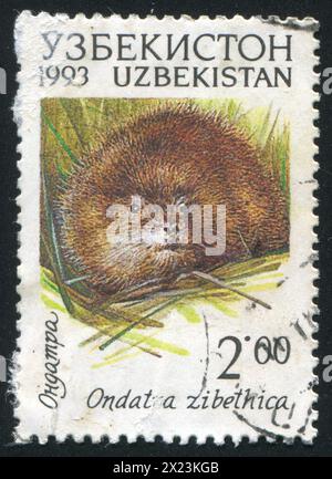 OUZBÉKISTAN - VERS 1993 : timbre imprimé par l'Ouzbékistan, montrant Muskrat, vers 1993 Banque D'Images