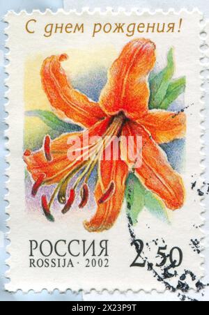 RUSSIE - VERS 2002 : timbre imprimé par la Russie, montre Lily, vers 2002 Banque D'Images