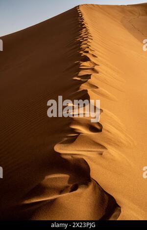 Dunes de sable à Erg Chigaga, Maroc Banque D'Images