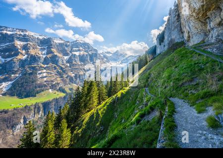 Description : sentier de montagne suisse au Äscherhütte à travers des prairies verdoyantes et escarpées et des forêts avec un panorama pittoresque de montagne en arrière-plan. Banque D'Images