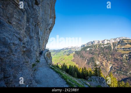 Description : les touristes marchent sur le sentier alpin de Äscher à Ebenalp sous un grand mur rocheux avec Hoher kasten mountin en arrière-plan. Seealpsee, Appenz Banque D'Images