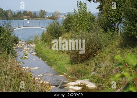 Petit ruisseau qui entrent dans un lac de Zurich en Suisse avec un pont blanc au-dessus. Banque D'Images