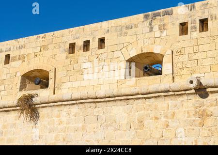 Valletta, Malte, 3 avril 2024. Les canons sur les remparts de préparation Elmo fort dans le centre historique de la ville Banque D'Images