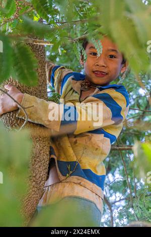 Namkhon, LAOS - 18 NOVEMBRE 2019 : garçon local sur un arbre dans le village de Namkhon près de la ville de Luang Namtha, Laos Banque D'Images