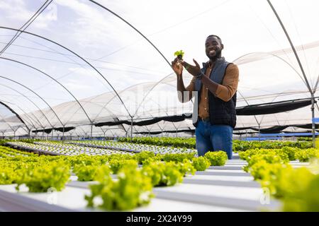 Jeune agriculteur afro-américain tenant de la laitue, debout en serre dans une ferme hydroponique Banque D'Images