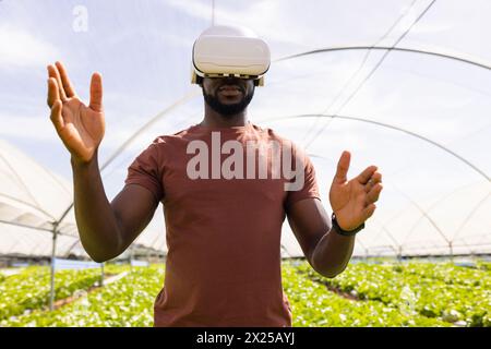 Jeune superviseur agricole afro-américain masculin dans le casque VR, se tient dans le champ hydroponique de serre Banque D'Images