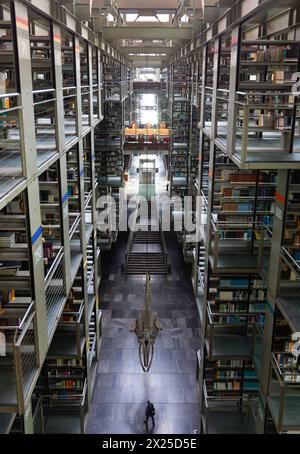 Mexico. 19 avril 2024. Cette photo prise le 19 avril 2024 montre une vue intérieure de la bibliothèque Vasconcelos à Mexico, au Mexique. La bibliothèque Vasconcelos, qui a ouvert ses portes en 2006, est l'une des plus grandes du genre au Mexique. Il porte le nom du politicien mexicain Jose Vasconcelos. Crédit : Li Mengxin/Xinhua/Alamy Live News Banque D'Images