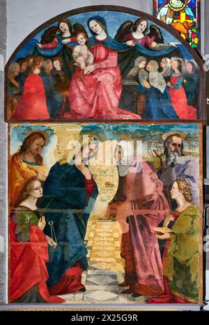 Madonna della Misericordia e sotto Visitazione con S. Giuseppe,S. Zaccaria, S. Apollonia e S. Lucia - olio su tavola - Girolamo del Pacchia - prima Banque D'Images