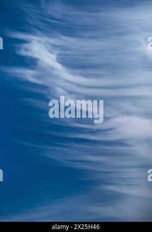 Plume haute comme des nuages de cirrus contre un ciel bleu lors d'un jour venteux de printemps au Royaume-Uni. Banque D'Images