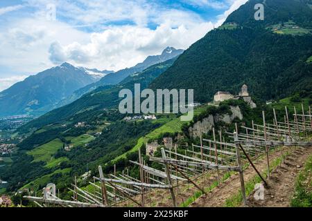 Château du Tyrol vu de Dorf Tirol, château ancestral médiéval des comtes du Tyrol près de Meran, Burgraviato, Tyrol du Sud, Italie. Banque D'Images