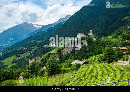 Château du Tyrol vu de Dorf Tirol, château ancestral médiéval des comtes du Tyrol près de Meran, Burgraviato, Tyrol du Sud, Italie. Banque D'Images