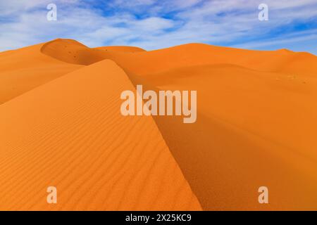Le désert du Sahara, Maroc. Paysage de dunes de sable de l'Erg Chebbi, Merzouga. Banque D'Images