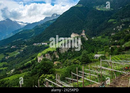 Schloss Tirol, Burggrafenamt, Südtirol, Italien Schloss Tirol von Dorf Tirol aus gesehen, mittelalterliche Stammburg der Grafen von Tirol und seit 200 Banque D'Images