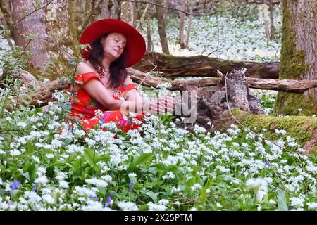 Doddiscombsleigh, Devon, Royaume-Uni. 20 avril 2024. Météo Royaume-Uni : Raich Keene rassemble de l'ail sauvage en fleurs à Doddiscombsleigh, Devon. Crédit : Nidpor/Alamy Live News Banque D'Images