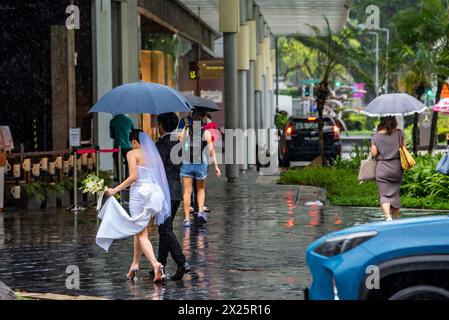Une jeune mariée et mariée traversent bras Basah Road à Singapour sous un parapluie sous une pluie battante en direction du centre commercial Raffles City Banque D'Images