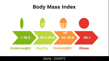 Echelle de l'indice de masse corporelle. Infographie de l'insuffisance pondérale et du poids normal Illustration de Vecteur