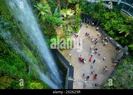 Une vue depuis les niveaux supérieurs à l'intérieur du Cloud Forest Garden, regardant en bas de la cascade de Gardens by the Bay à Singapour Banque D'Images