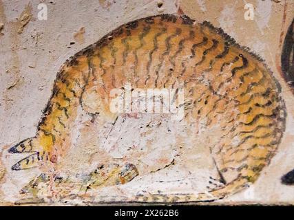 Louxor en Egypte, Vallée des nobles, tombeau de Nakht : chat mangeant du poisson. Banque D'Images