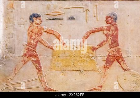 Egypte, Saqqara, tombeau de Ty, agriculture : secouer le sac de céréales. Banque D'Images