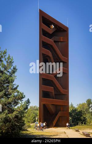 Aussichtsturm Rostiger Nagel an der Einmündung zum Sedlitzer See wurde die 30 Meter hohe Landmarke Lausitzer Seenland, der sogenannte Rostige Nagel , erbaut. Dabei handelt es sich um einen Aussichtsturm aus 111 Tonnen Cortenstahl, mit der Grundfläche eines rechtwinkligen Dreiecks mit Kathetenlängen von ungefähr zwölf und acht Metern. 162 Stufen führen zur Aussichtsplattform auf dem Turm. Senftenberg Brandenburg Deutschland *** Tour d'observation Rusty Nail le monument de la Lakeland de Lusatian de 30 mètres de haut, le soi-disant Rusty Nail , a été construit à l'embouchure du lac Sedlitz. C'est une observation Banque D'Images