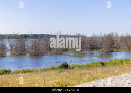 Aussichtsturm Rostiger Nagel Der Sedlitzer See ist ein See in der Seenkette Lausitzer Seenland und befindet sich auf dem Gebiet des brandenburgischen Landkreises Oberspreewald-Lausitz in der Niederlausitz unmittelbar an der Grenze zu Sachsen. Senftenberg Brandenburg Deutschland *** Rostiger Nagel tour d'observation le lac Sedlitz est un lac dans la chaîne de lacs Lakeland de Lusace et est situé dans le district de Brandebourg d'Oberspreewald Lausitz en basse-Lusace, à droite à la frontière avec la Saxe Senftenberg Brandebourg Allemagne Banque D'Images