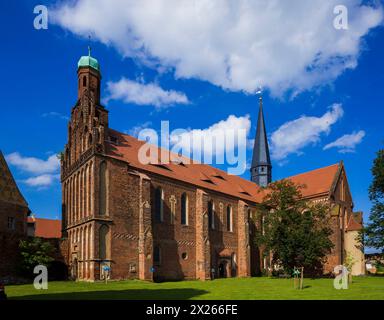 Stadtbild Mühlberg/Elbe ist eine an der Elbe gelegene Stadt im südbrandenburgischen Landkreis Elbe Elster. Kloster Marienstern. Mühlberg Brandenburg Deutschland *** paysage urbain Mühlberg Elbe est une ville située sur la rivière Elbe dans le sud du Brandebourg Elster Kloster Marienstern Mühlberg Brandenburg Allemagne Banque D'Images