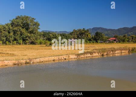 Paysage rural près de Muang Sing, Laos Banque D'Images