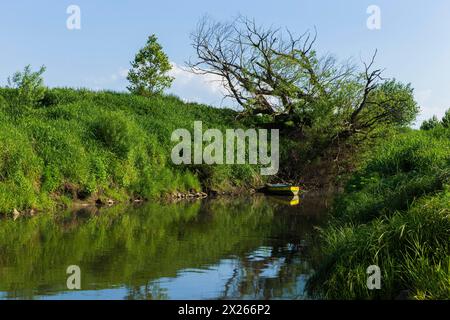 Stadtbild Mühlberg/Elbe ist eine an der Elbe gelegene Stadt im südbrandenburgischen Landkreis Elbe Elster. Altarm der Elbe. Mühlberg Brandenburg Deutschland *** paysage urbain Mühlberg Elbe est une ville sur la rivière Elbe dans le district sud de Brandebourg Elster Altarm der Elbe Mühlberg Brandenburg Allemagne Banque D'Images