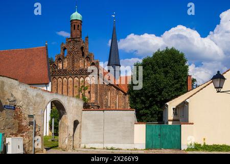 Stadtbild Mühlberg/Elbe ist eine an der Elbe gelegene Stadt im südbrandenburgischen Landkreis Elbe Elster. Kloster Marienstern. Mühlberg Brandenburg Deutschland *** paysage urbain Mühlberg Elbe est une ville située sur la rivière Elbe dans le sud du Brandebourg Elster Kloster Marienstern Mühlberg Brandenburg Allemagne Banque D'Images