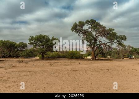 Brouillard matinal à Brandberg Mountain, Damaraland, Namibie Banque D'Images