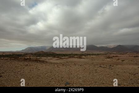 Brouillard matinal à Brandberg Mountain, Damaraland, Namibie Banque D'Images