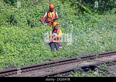 Sicherheitsrelevante Maßnahmen im Bahnbetrieb Vegetationsrückschnitt an Gleisanlagen zur Verkehrssicherung im Bahnbetrieb *** mesures pertinentes pour la sécurité dans les opérations ferroviaires réduction de la végétation sur les systèmes de voies pour la sécurité du trafic dans les opérations ferroviaires Banque D'Images