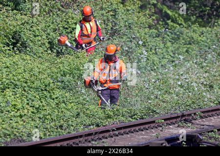 Sicherheitsrelevante Maßnahmen im Bahnbetrieb Vegetationsrückschnitt an Gleisanlagen zur Verkehrssicherung im Bahnbetrieb *** mesures pertinentes pour la sécurité dans les opérations ferroviaires réduction de la végétation sur les systèmes de voies pour la sécurité du trafic dans les opérations ferroviaires Banque D'Images