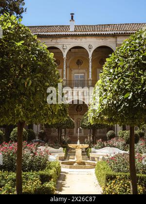 Petit jardin (jardin Chico) à Casa de Pilatos (Maison Pilates) Palais intérieur - Séville, Andalousie, Espagne Banque D'Images