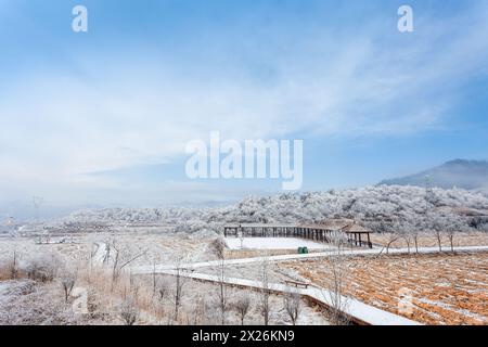 Paysage de neige à Yaling, Shaanxi Banque D'Images