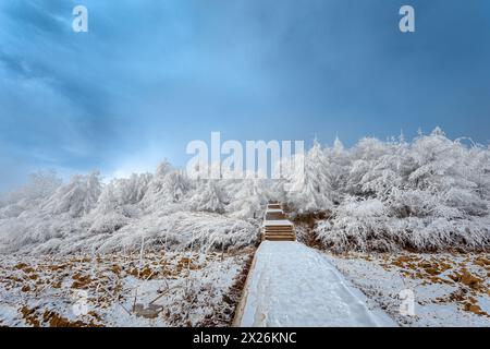 Paysage de neige à Yaling, Shaanxi Banque D'Images