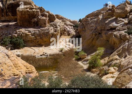 Red Rock Canyon, Nevada. Sentier à Calico Tanks. Banque D'Images