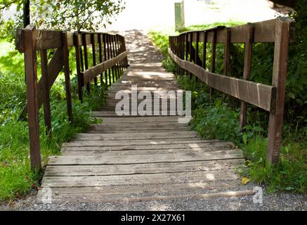 Un escalier en planches avec une balustrade en bois sombre descend à travers des arbustes et de hautes herbes vertes à Tallinn. Pour la bannière. Pour une carte postale. Horizontal. Banque D'Images