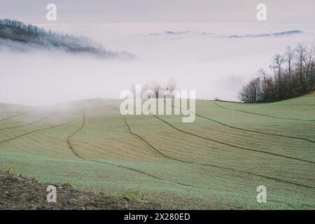 Le brouillard est arrivé dans la vallée, Apennins du Nord dans la province de Bologne, Emilie-Romagne, Italie Banque D'Images