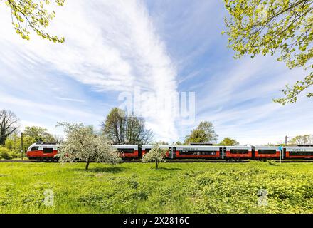 Nahverkehrszug vom Typ Siemens Desiro ML, Vorarlberger ÖBB Nahverkehrsflotte unterwegs im Dreiländereck, hier BEI Lindau am Bodensee. // 14.04 2024 : Lindau, Bayern, Deutschland, Europa *** Siemens Desiro ML train de banlieue, Vorarlberg ÖBB flotte de trains de banlieue en route dans le triangle frontalier, ici près de Lindau sur le lac de Constance 14 04 2024 Lindau, Bavière, Allemagne, Europe Banque D'Images