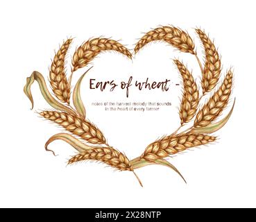 Illustration aquarelle d'un cadre en forme de coeur fait d'oreilles mûres dorées de blé et de texte. Cadre de rafles isolé de l'arrière-plan. Pour menus, bannières Banque D'Images