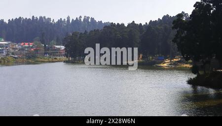 belle vue sur le lac mirik entouré par la forêt de pins, situé sur la zone des contreforts des montagnes de l'himalaya dans le district de darjeeling de l'ouest du bengale, inde Banque D'Images