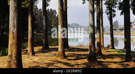 belle vue sur le lac mirik entouré par la forêt de pins, situé sur la zone des contreforts des montagnes de l'himalaya dans le district de darjeeling de l'ouest du bengale, inde Banque D'Images