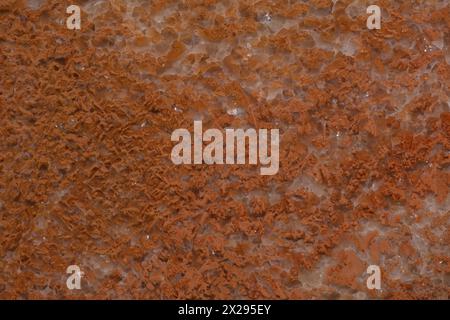 Texture Onyx, fond en couleur naturelle pour un projet de design élégant. Banque D'Images