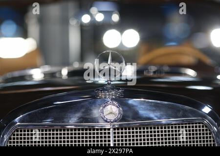 Bucarest, Roumanie - 21 avril 2024 : Détails avec la partie avant et l'emblème d'une voiture de luxe rétro Mercedes. Banque D'Images