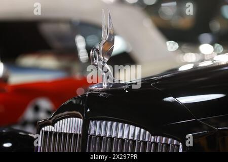 Bucarest, Roumanie - 21 avril 2024 : Détails avec la partie avant et l'emblème d'une voiture rétro rétro 1936 Packard 14th Series Super Eight Coupe Roadster. Banque D'Images