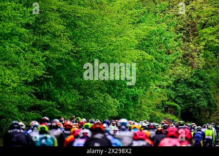 Liège, Belgique. 21 avril 2024. Le peloton de coureurs photographié en action lors de la course d'élite masculine de l'épreuve cycliste Liège-Bastogne-Liège d'une journée, 254, à 5 km de Liège, de Bastogne à Liège, dimanche 21 avril 2024. BELGA PHOTO DIRK WAEM crédit : Belga News Agency/Alamy Live News Banque D'Images