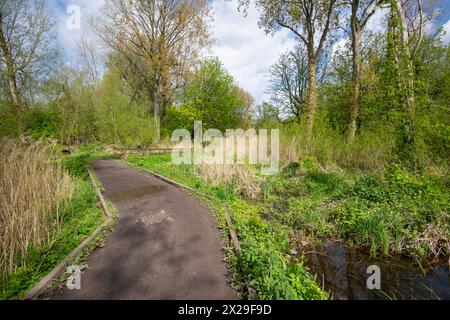 Sentier à travers Stenner Woods à côté du jardin botanique Fletcher Moss à Didsbury dans le sud de Manchester. Banque D'Images