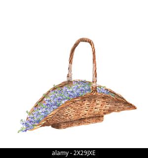 Illustration d'aquarelle dessinée à la main. Panier en osier avec fleurs de lavande bleu. Scène rustique à la lavande Banque D'Images